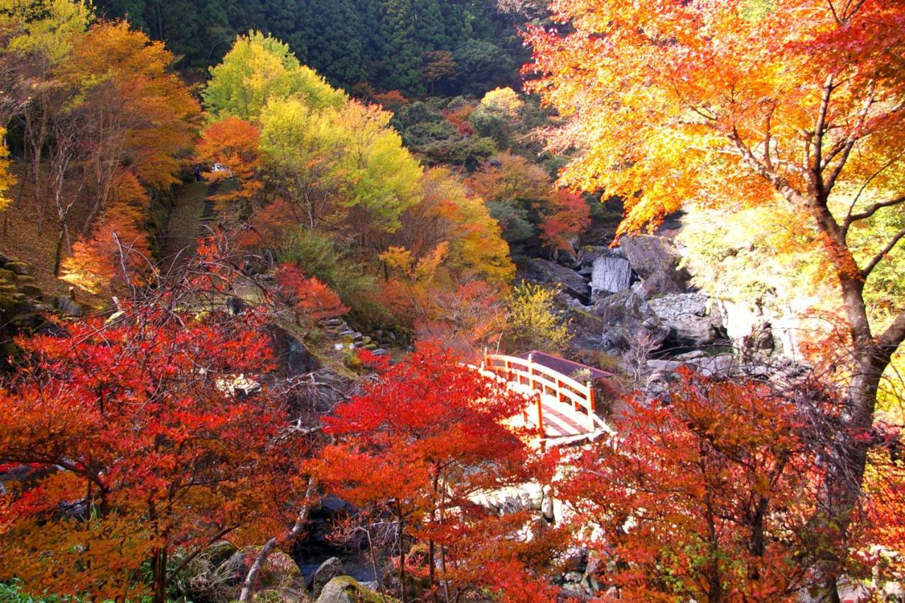 Nature Resort In Niyodo Niyodogawa Exteriör bild