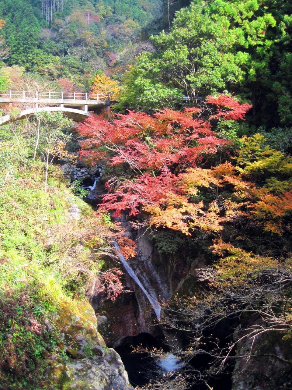 Nature Resort In Niyodo Niyodogawa Exteriör bild